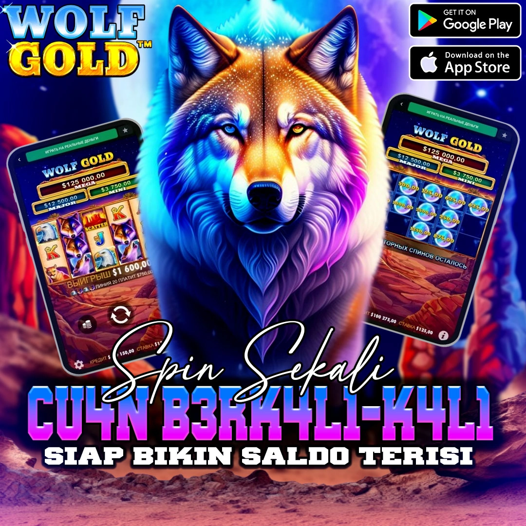 BOCIN4D